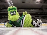 Victor E. Green (Dallas Stars)