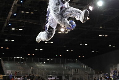 The Rally Monkey (Los Angeles Angels of Anaheim), SportsMascots Wikia