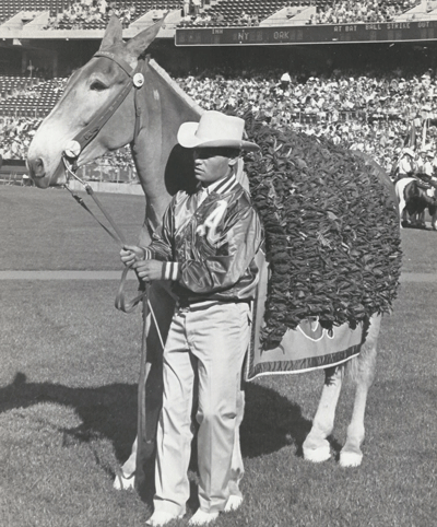 The A's celebrate KC roots with green and gold uniforms — and a mule named Charlie  O