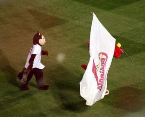 St. louis cardinals mascot