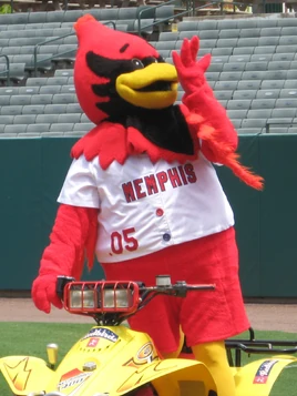 Rockey the Redbird