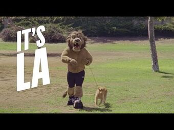 LA Kings - MASCOT MOVES: Bailey LA Kings suffered an