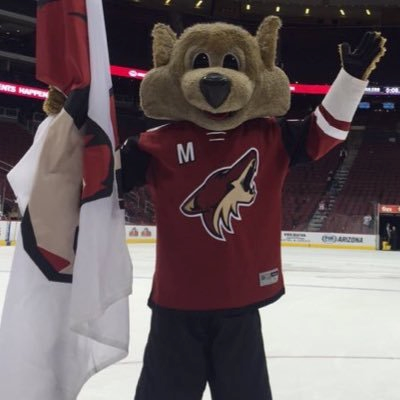 NHL mascot rankings: Arizona Coyotes' Howler the Coyote among best