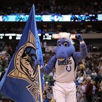 Champ Dallas Mavericks Sportsmascots Wikia Fandom