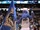 Champ (Dallas Mavericks)
