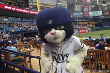 Tampa Bay Rays Mascot - Raymond 