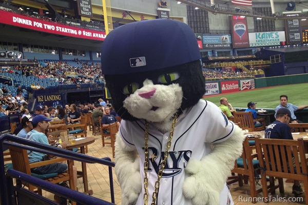DJ Kitty is Now an Official Mascot of the Tampa Bay Rays