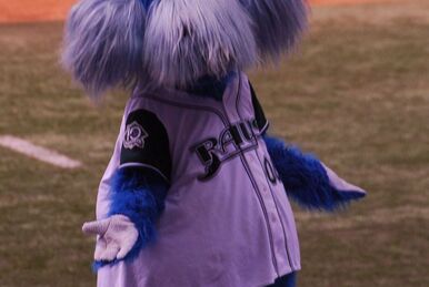 Tampa Bay Rays Turn 'DJ Kitty' Viral Video Into Actual Mascot