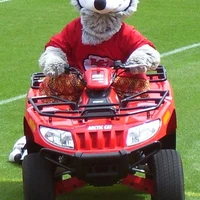 K C Wolf Kansas City Chiefs Sportsmascots Wikia Fandom