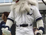 Leo and Lina (Saitama Seibu Lions)