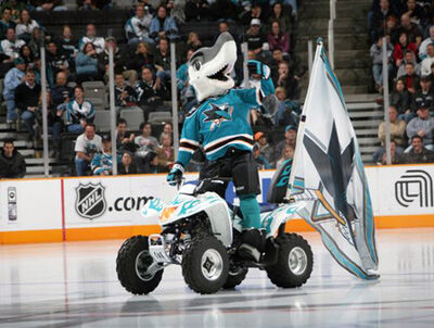 SJSharkie