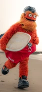 Gritty at the beach