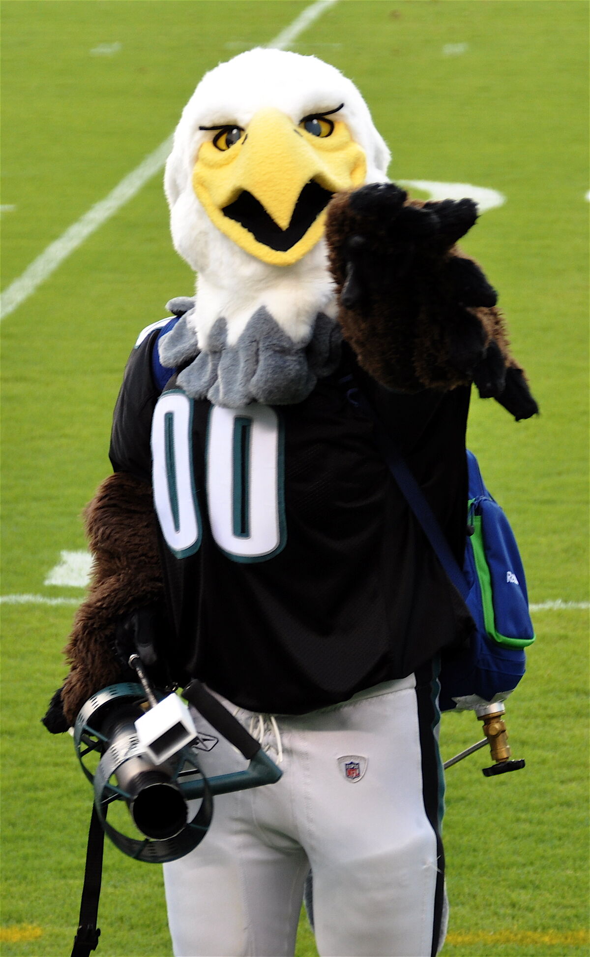 What Is Philadelphia Eagles Mascot Swoop Salary?