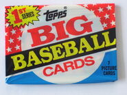 1989 Topps Big S1 Pack