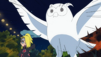Owl.