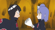 Konan's flowers