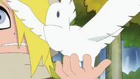 Bird.