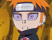 Pains' headband style forehead protector.
