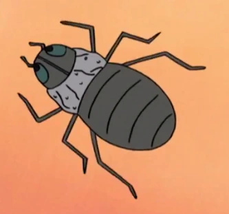 Kikaichū | Rock Lee's Springtime of Youth Wiki | Fandom