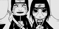 Itachi & Kisame in the manga.