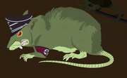 Nazi zombie unusually large rat