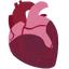 Ic item pig heart