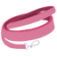 Ic item sparky leash.png