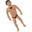 Ic item antioniobanderes