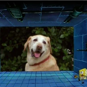 Spužva Bob upoznaje Planktonovog labradora