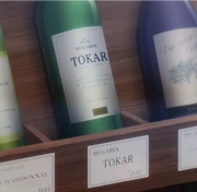 Tokar w anime'"`UNIQ--ref-00000000-QINU`"'