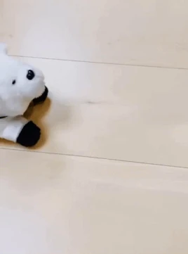 Animation