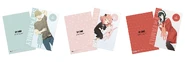 Craftholic Clear Files