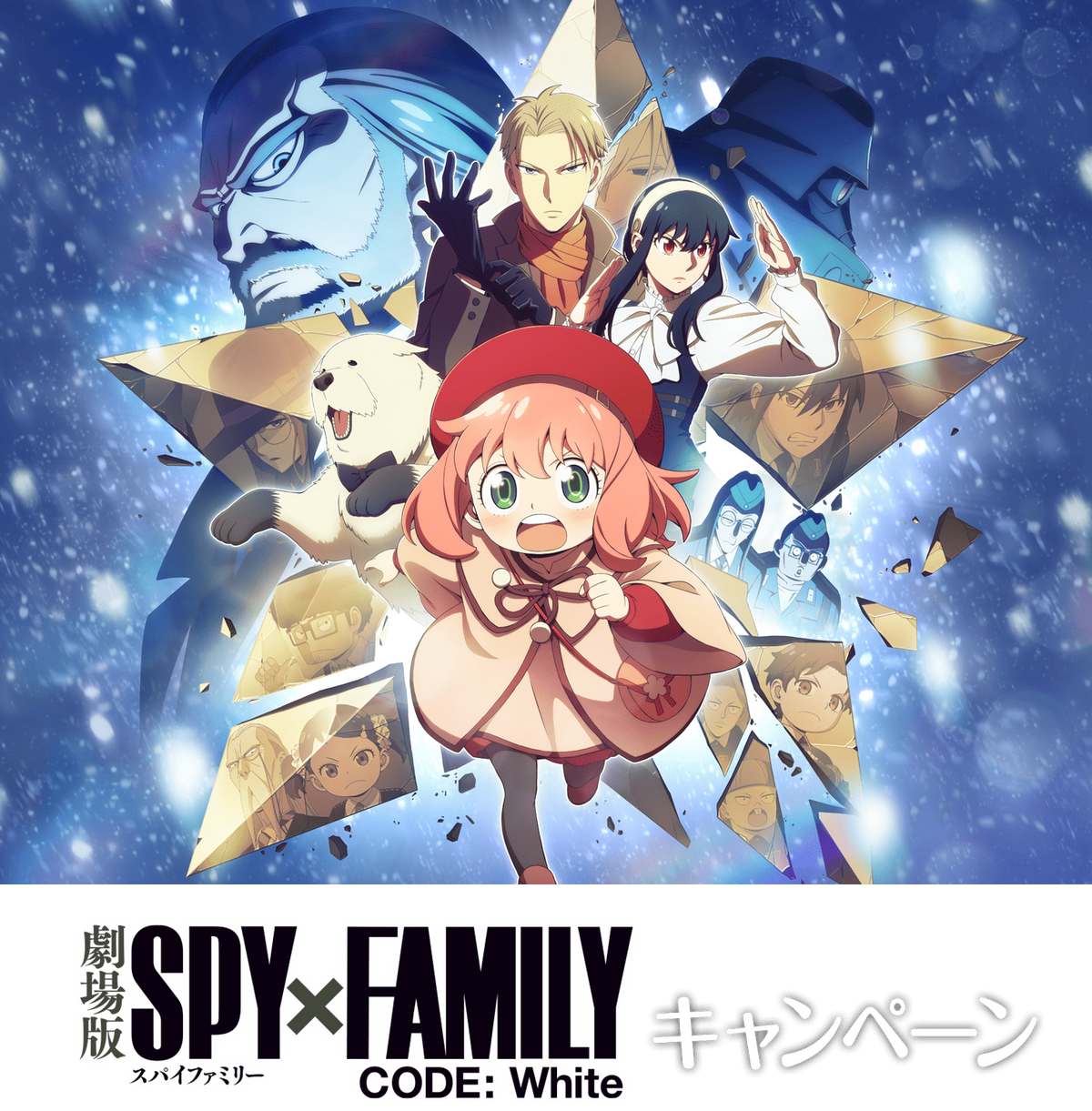 ヴァイスシュヴァルツ スパイファミリー SPY×FAMILY 4コン