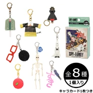 Collectible Keychains (8 Types)