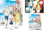 Acrylic Stand Set