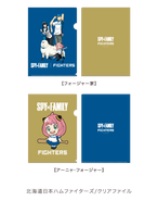 Baseball 2022 Merchandise 139.png (33 KB) Fighters