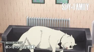 Episode 27
