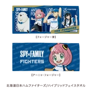 Baseball 2022 Merchandise 19.png (99 KB) Fighters