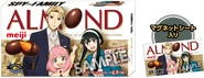 Almond with Magnet