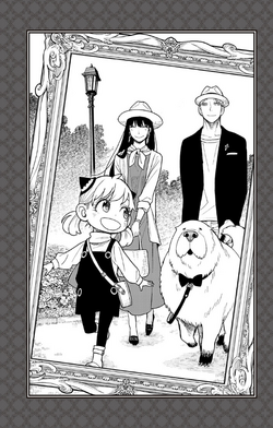 SPY×FAMILY 家族の肖像｜書籍情報｜JUMP j BOOKS｜集英社