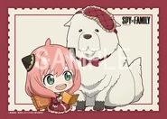 Anya & Bond