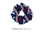 Baseball 2022 Merchandise 153.png (37 KB) Lions