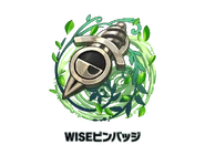 WISE Pin Badge