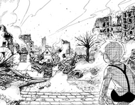 Twilight watches his hometown in ruins