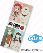 Original Face Towel (50 people)