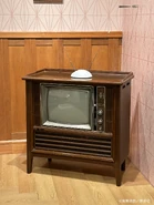 TV in the Forger Living Room