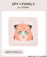 Handkerchief Towel (Excited)