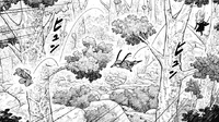 Yor, Matthew, and Hemlock are looking for the poachers