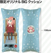 BIG Cushion