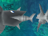 Robot Sharks